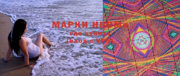 прущие грибы Алексеевка
