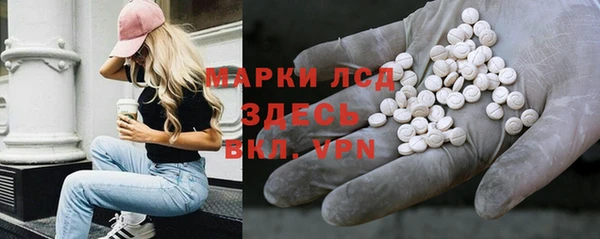 прущие грибы Алексеевка