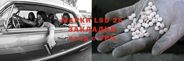 прущие грибы Алексеевка