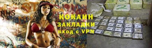 твердый Алексин